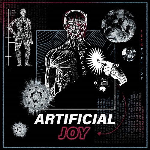 ARTIFICIAL JOY / 100% PURE JOY