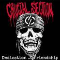 CRUCIAL SECTION/Dedication and Friendship