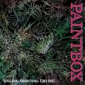 PAINTBOX / Singing Shouting Crying(紙ジャケット)