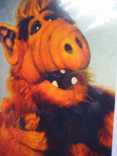 ミニポスター アルフ ALF