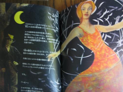 ボヴァリー夫人 フロベール 姫野カオルコ&木村タカヒロ