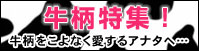 牛柄特集！牛柄をこよなく愛するアナタへ…